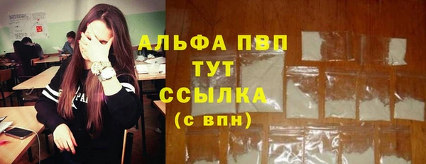 крисы Алексин