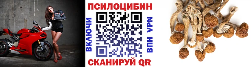 Галлюциногенные грибы MAGIC MUSHROOMS  Далматово 